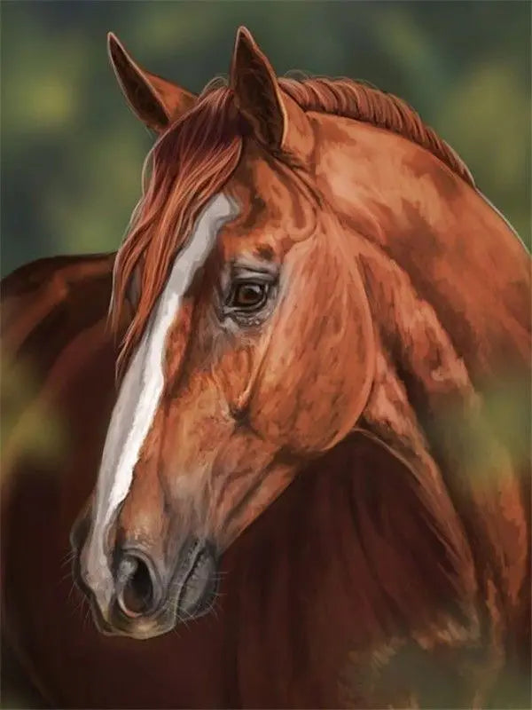 Horse Painting By Numbers