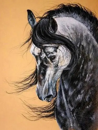 Horse Painting By Numbers