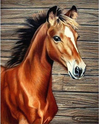 Horse Painting By Numbers