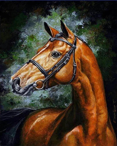 Horse Painting By Numbers