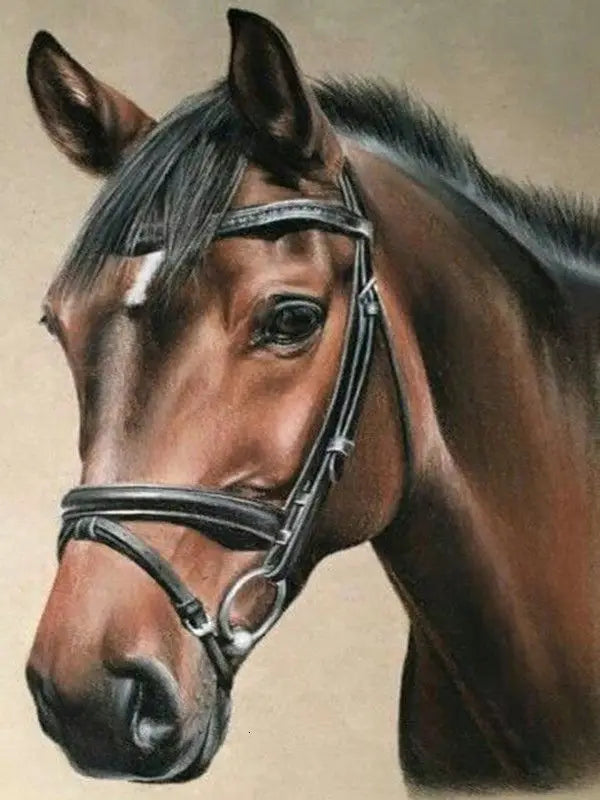 Horse Painting By Numbers