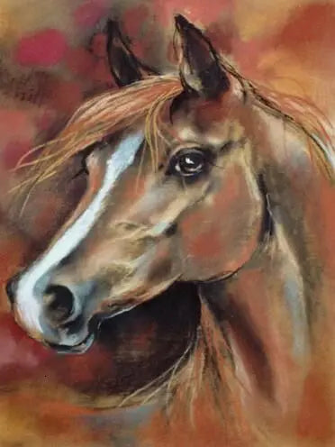 Horse Painting By Numbers