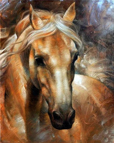 Horse Painting By Numbers