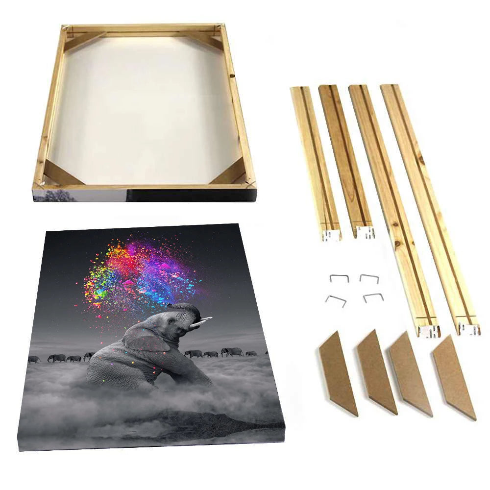 Paint By Numbers Frame Kit