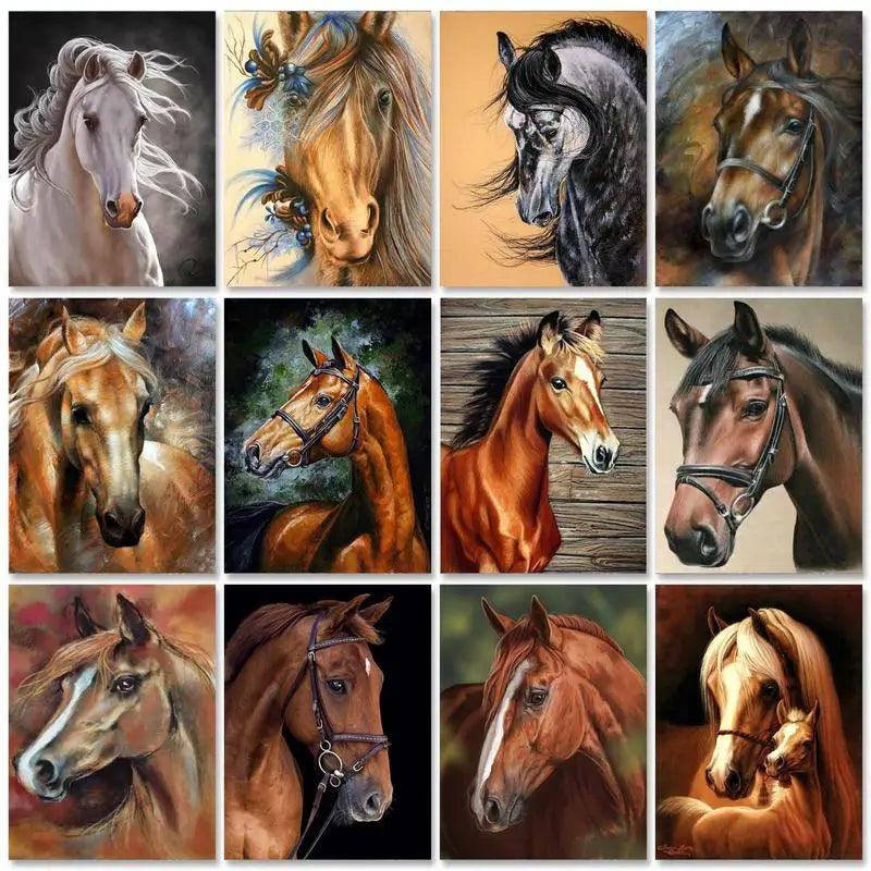 Horse Painting By Numbers